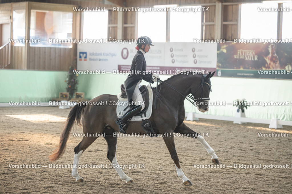 _D5A7873 | Emotionale Pferde- & People-Fotografie rund um Heidelberg, Leimen & Umgebung. Natürliche Fotos von Pferd, Mensch & Familie. Jetzt Termin sichern!