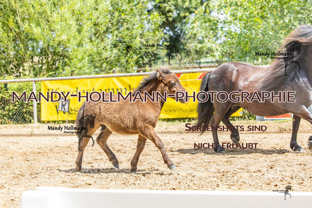 Sage Haast RR-157 | mandyhollmannphotographie