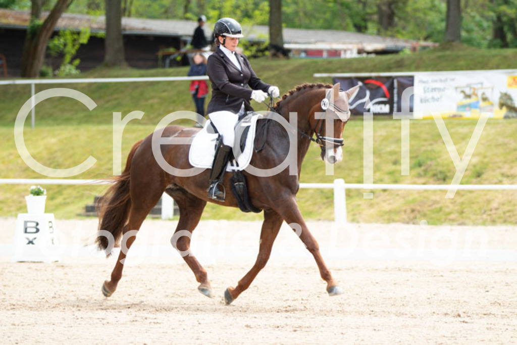 IMG_0903 | Creatify Fotografie