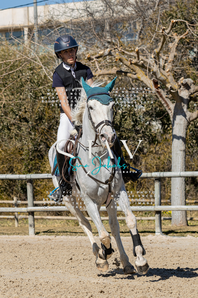 IMG_0239 | s-jay-photography - Realisiert mit Pictrs.com