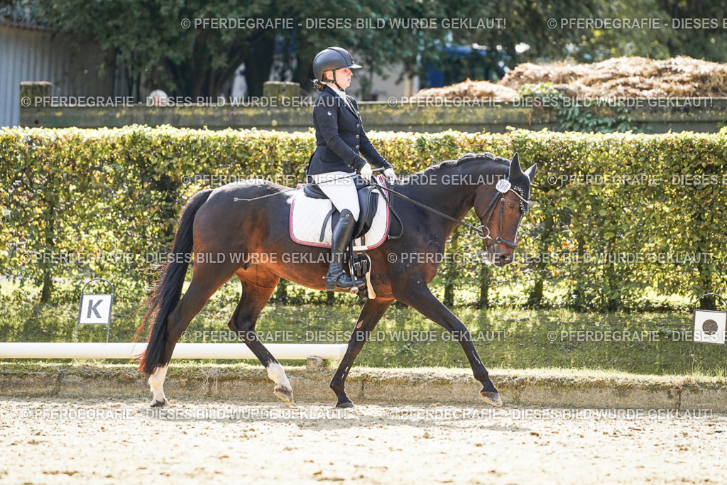 DSC07134 | Pferdegrafie