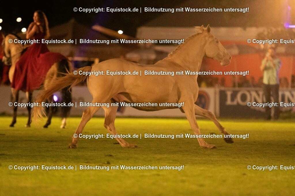 20230526_Pferdenacht_1497 | equistock