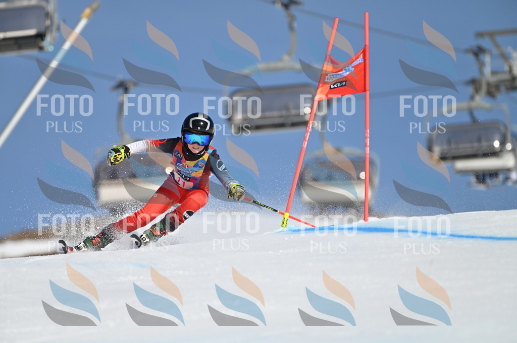 BGV_7764 | holidayphoto