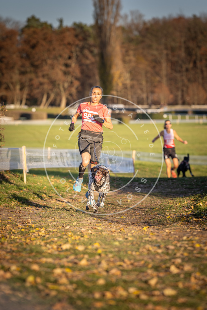 CaniXpix_DV3A4415 | Hundefotografie, Tierfotograf, Pfotenfotografie, Fotoshooting Hund, Hunde Portrait, Hundesport, Hundeportraits, Heideshooting, Hunde, Sportfotograf, Hundefotograf, Turnierhundsport, THS,  - Realisiert mit Pictrs.com