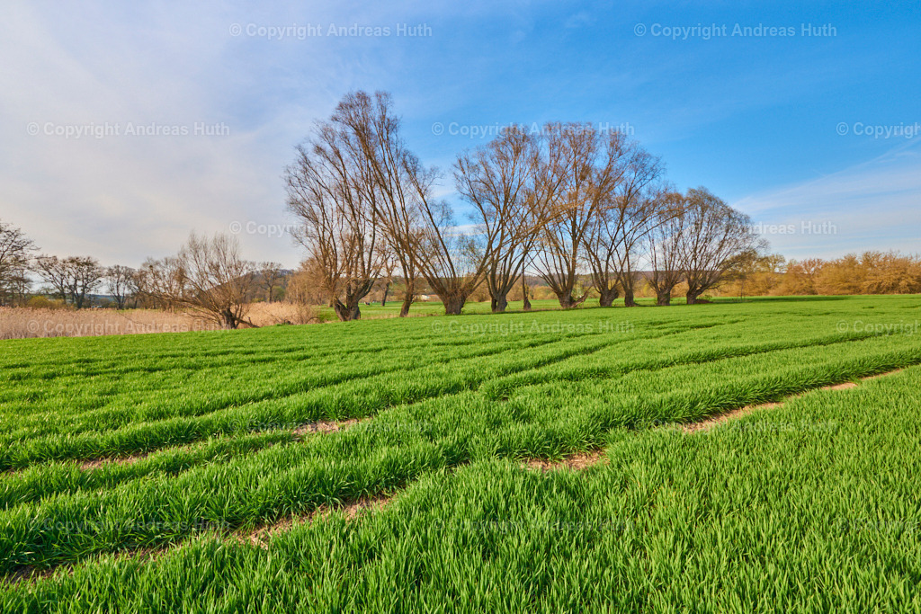 An der Weißen Elster bei Silbitz 02 | Bedeutsame Landschaften Deutschlands - Realisiert mit Pictrs.com
