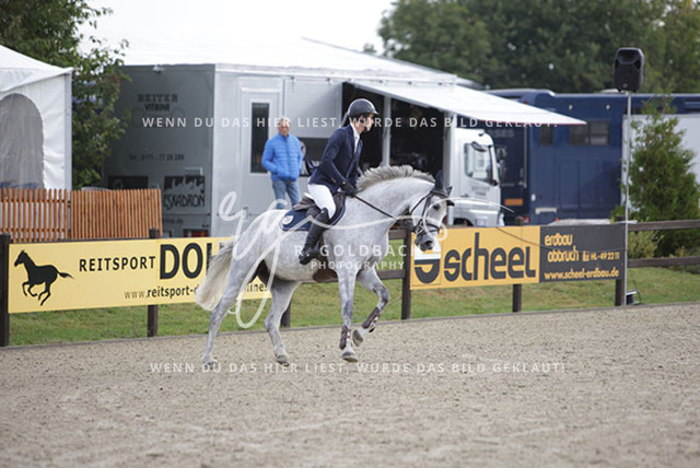1J2A8501Edouard Hennau_ Maleika I_ Kn700_ Havekost | Foto- und Videografie für alles rund ums Pferd. Hochwertige Bilder und Videos vom Spring- und Dressurreiten, Voltigieren & mehr. Jetzt aktuelle Veranstaltungen und Preise im Shop ansehen. - Realisiert mit Pictrs.com