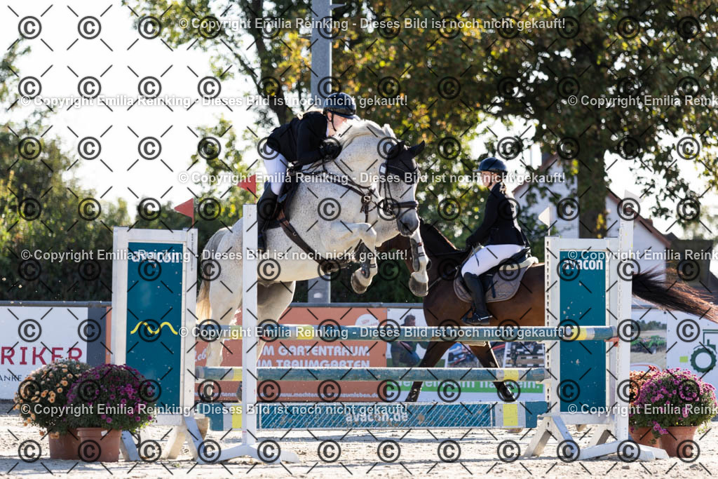 CL5A1143 | Emilia Reinking Fotografie - Realisiert mit Pictrs.com