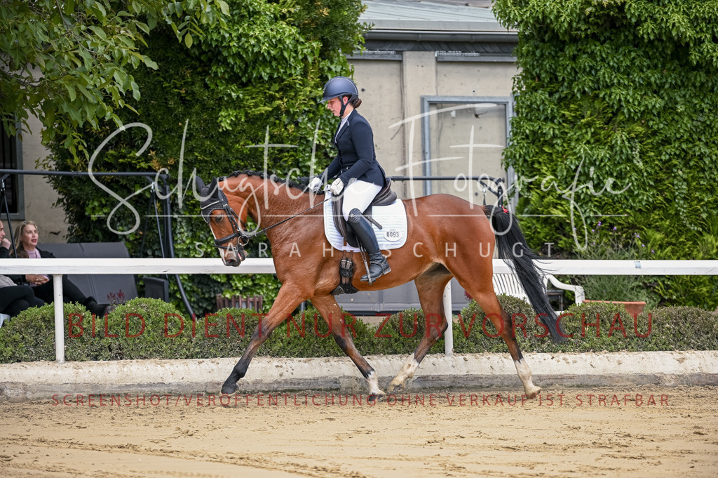 Schugtsche-Aluta25-48.Reitpferfdeprf.-153 | Schugtsche Fotografie - Realisiert mit Pictrs.com