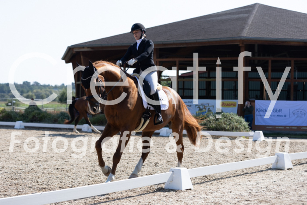 IMG_4780 | Creatify Fotografie