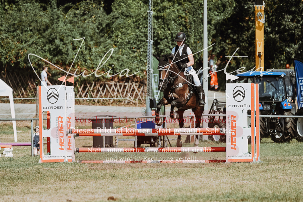 DSC_9859 | Pferde- und Turnierfotografie in Westsachsen. Pferdeportraits, Auftragszeichnungen und intuitive Kunst.