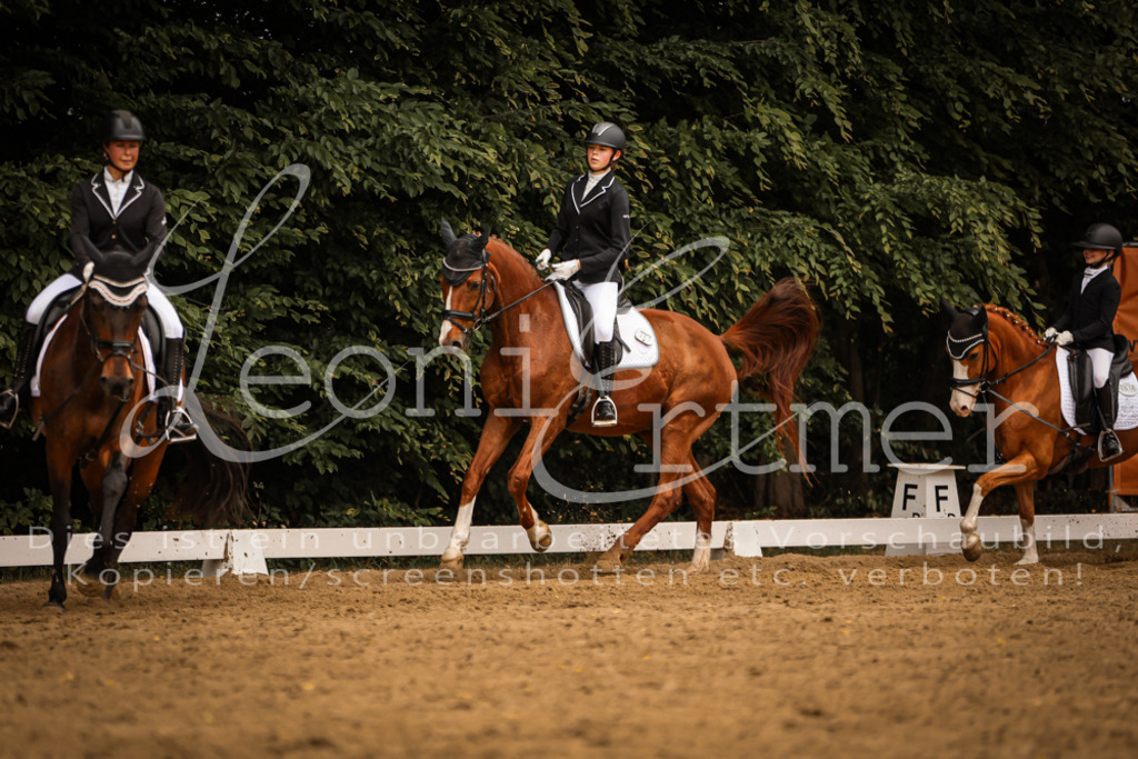 DoDrWB00091 | Leoni Ertmer Photography - Realisiert mit Pictrs.com