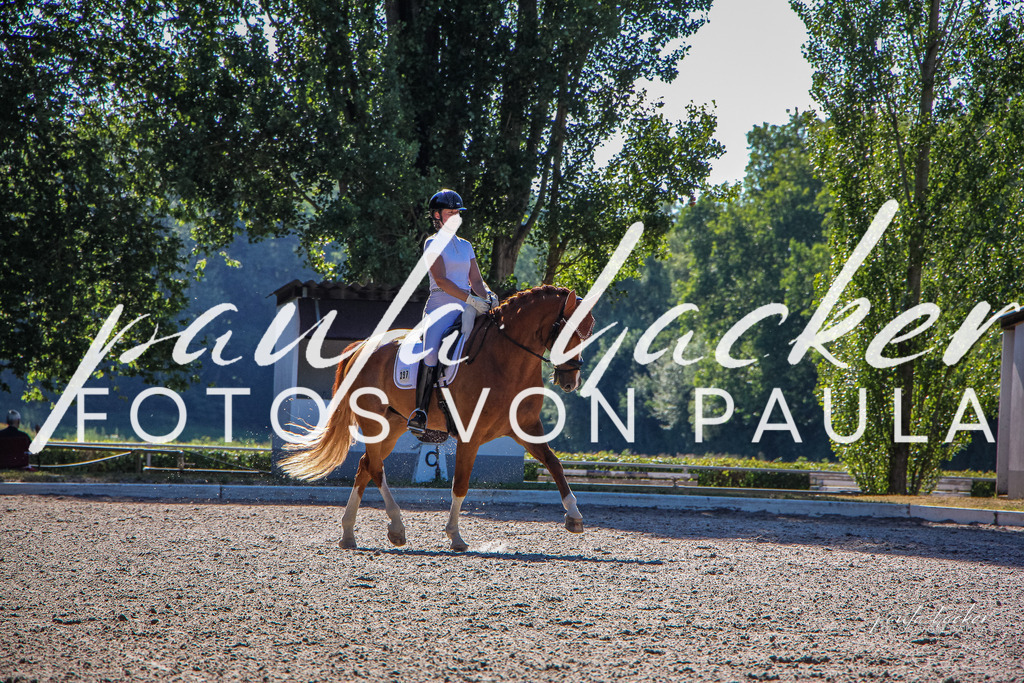 IMG_0097 | Erleben Sie dynamische Sport- und emotionale Tierfotografie in Süddeutschland mit Fotos von Paula. Spezialisiert auf Pferde- und Hundefotografie sowie Sportevents. Kontaktieren Sie mich für einzigartige und ausdrucksstarke Bilder Ihrer besonderen Momente.