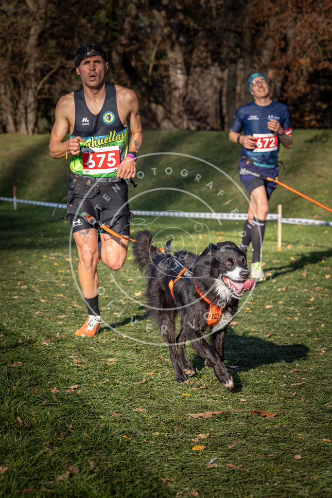 CaniXpix_0L8A9226 | Hundefotografie, Tierfotograf, Pfotenfotografie, Fotoshooting Hund, Hunde Portrait, Hundesport, Hundeportraits, Heideshooting, Hunde, Sportfotograf, Hundefotograf, Turnierhundsport, THS,  - Realisiert mit Pictrs.com