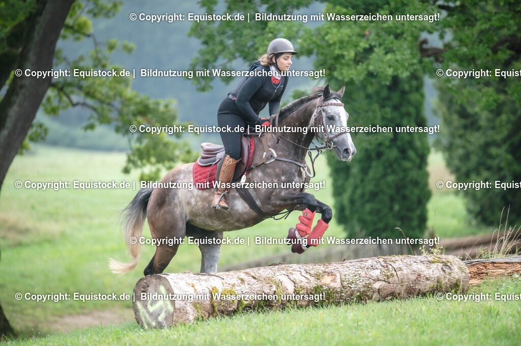 20250726_Vielseitigkeitslehrgang-Marbach_0139 | Foto: Thomas Hartig