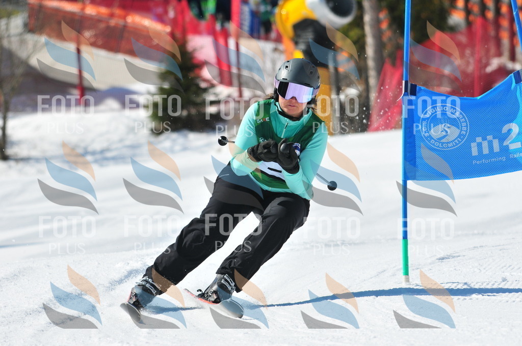 C4104 | holidayphoto