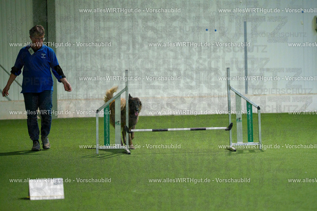 7R507891 | Professionelle Tierfotografie in Mönchengladbach von Daniel Wirth (allesWIRTHgut). Liebevolle & natürliche Bilder von Hunden & Katzen für unvergessliche Erinnerungen.