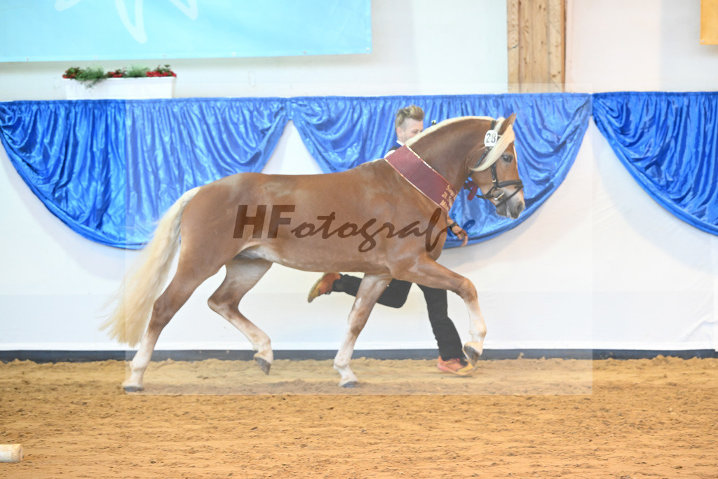 Kat-Nr. 28 Napoleon v. Nakuri_Lechner_60221645 | hf-fotografie - Realisiert mit Pictrs.com