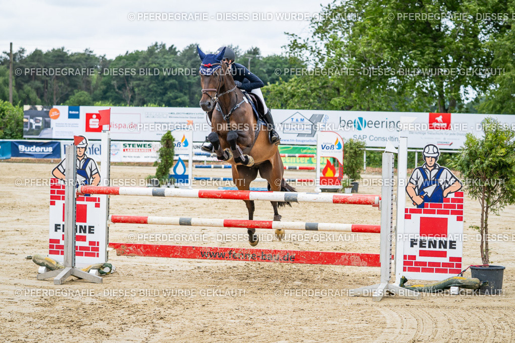 DSC04436 | Pferdegrafie