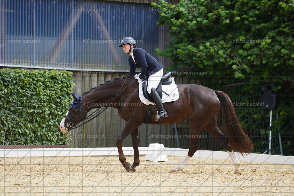 20240630-FAH02197 | Turnierbilder Schwabmünchen, Dressurbilder, Springreitturnier, Reitsportbilder, Turnierfotografen Bayern, Turnierfotograf