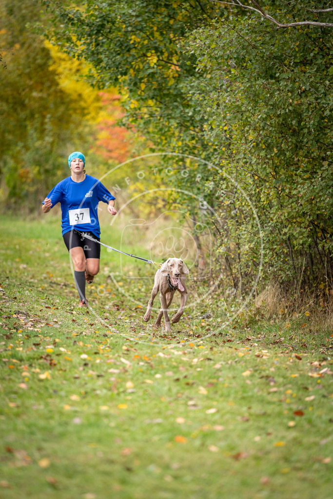Pfotenfotografie_DV3A2158 | Hundefotografie, Tierfotograf, Pfotenfotografie, Fotoshooting Hund, Hunde Portrait, Hundesport, Hundeportraits, Heideshooting, Hunde, Sportfotograf, Hundefotograf, Turnierhundsport, THS,  - Realisiert mit Pictrs.com
