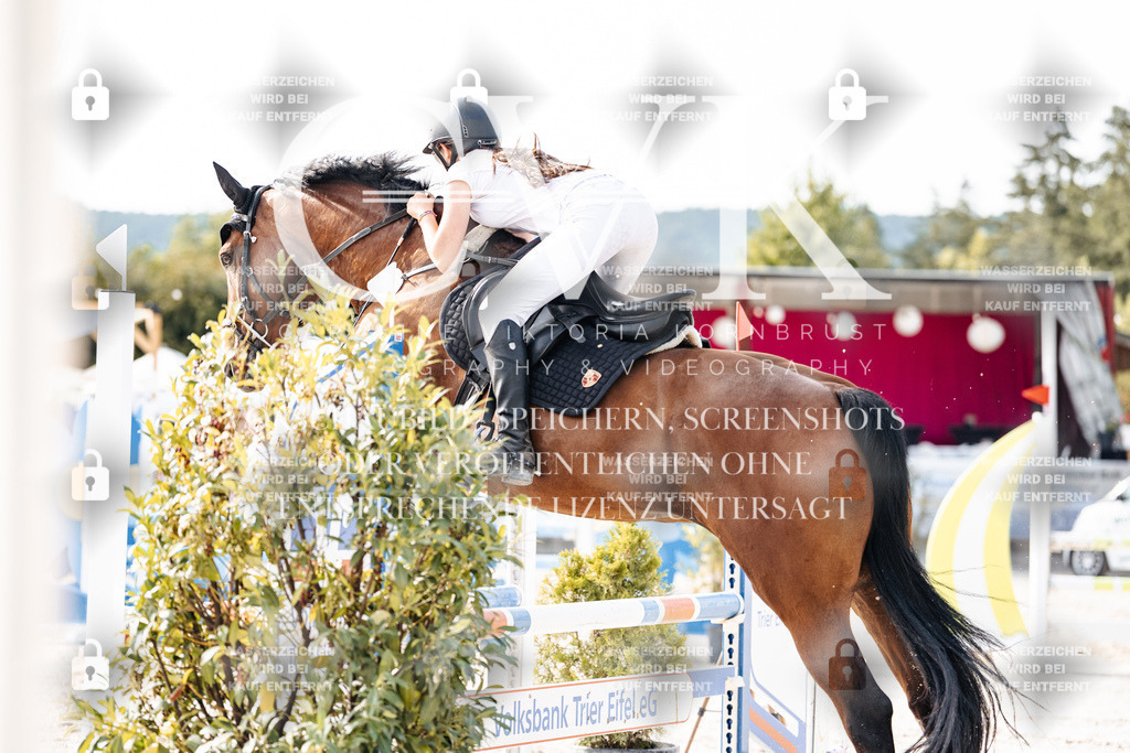 CK905896 | Turnierfotografie Pferdefotografie Trier Rheinland-Pfalz Pferdesport Reitsport Tierfotografie Sportfotografie Pferdevideo Pferdevideografie Equestrianvideography equestrianphotography  - Realisiert mit Pictrs.com