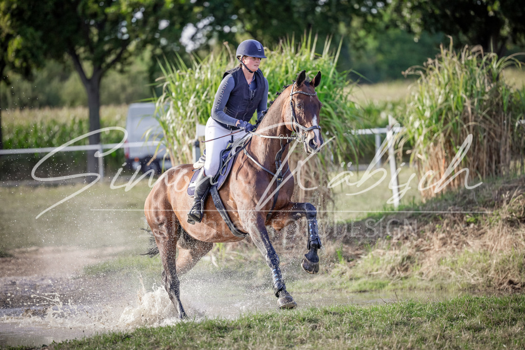 20250906-_3LI7826 | Tierfotografie Pferde, Hunde, Katzen, Haustiere.
Turnierfotografie Reitturniere, Reiten, Springreiten, Dressur in Hanau, dem Main-Kinzig-Kreis und dem Rhein-Main- Gebiet um Frankfurt