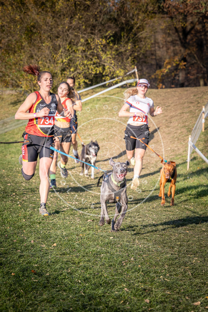 CaniXpix_0L8A9805 | Hundefotografie, Tierfotograf, Pfotenfotografie, Fotoshooting Hund, Hunde Portrait, Hundesport, Hundeportraits, Heideshooting, Hunde, Sportfotograf, Hundefotograf, Turnierhundsport, THS,  - Realisiert mit Pictrs.com
