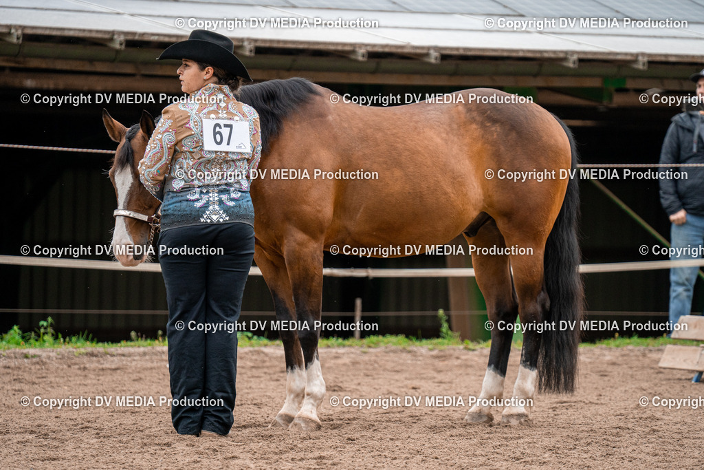 BA300149 | dv-media-shop - Realisiert mit Pictrs.com