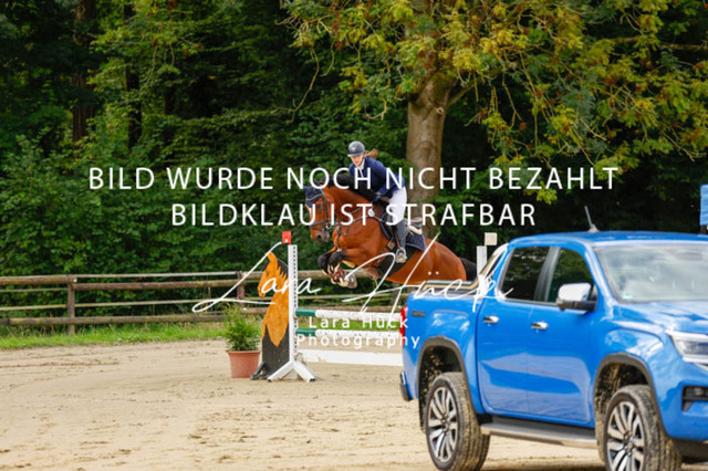 _62_8981 | larahueckfotografie