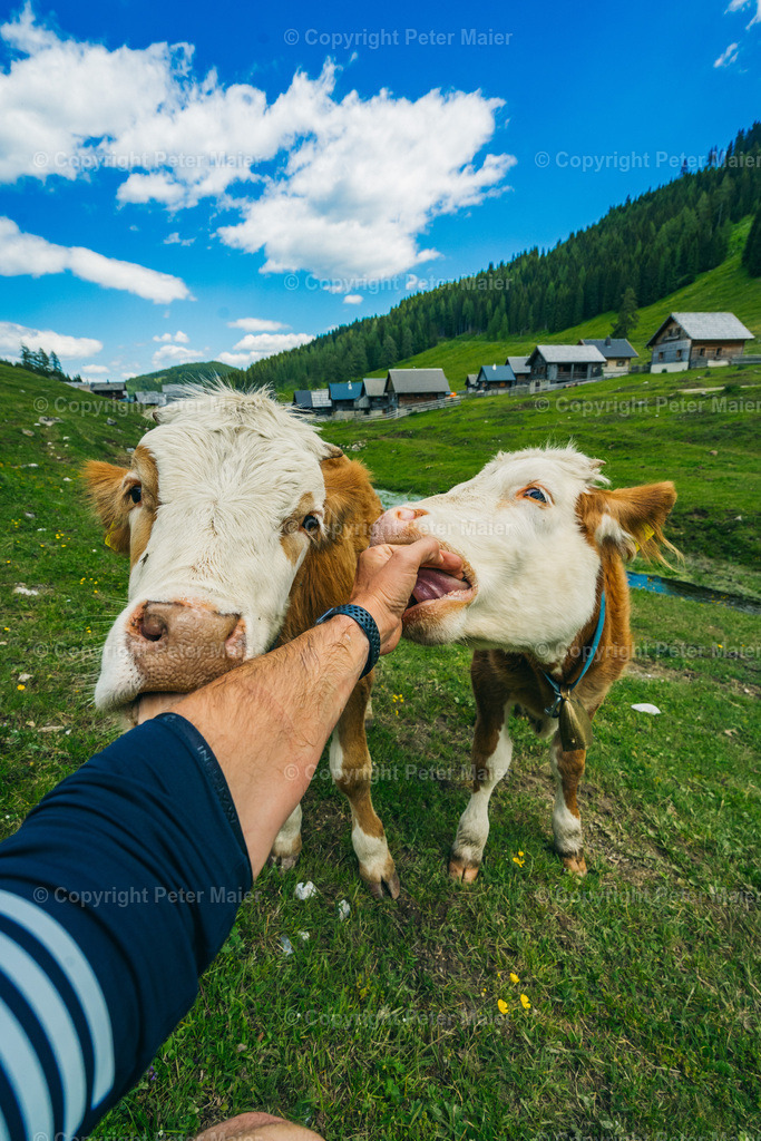 Wandern_Karnische_Milchstrasse_2020-177 | piet_flosse