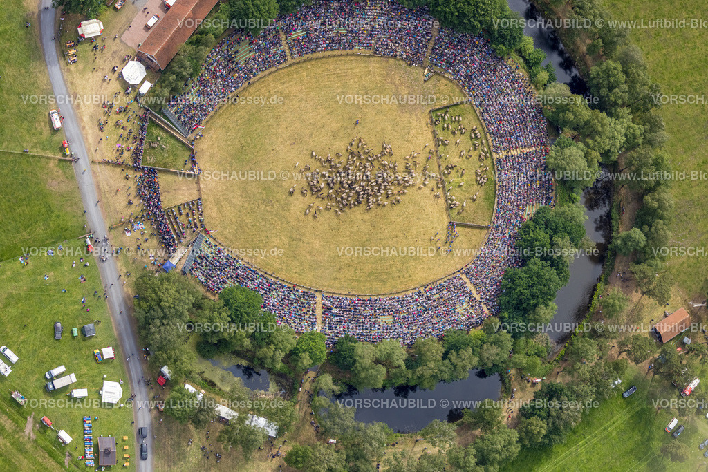 Duelmen220505191MerfelderBruchPferde | Luftbild, Wildpferdefang im Merfelder Bruch bei Dülmen, Arena der Wildpferdebahn, Herzöge von Croÿ Anwesen, Pferdeherde,  Merfeld, Dülmen, Münsterland, Nordrhein-Westfalen, Deutschland