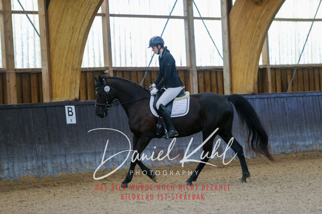 IMG_0128 | Turniersportfotografie; Pferdefotografie; Dressurfotografie