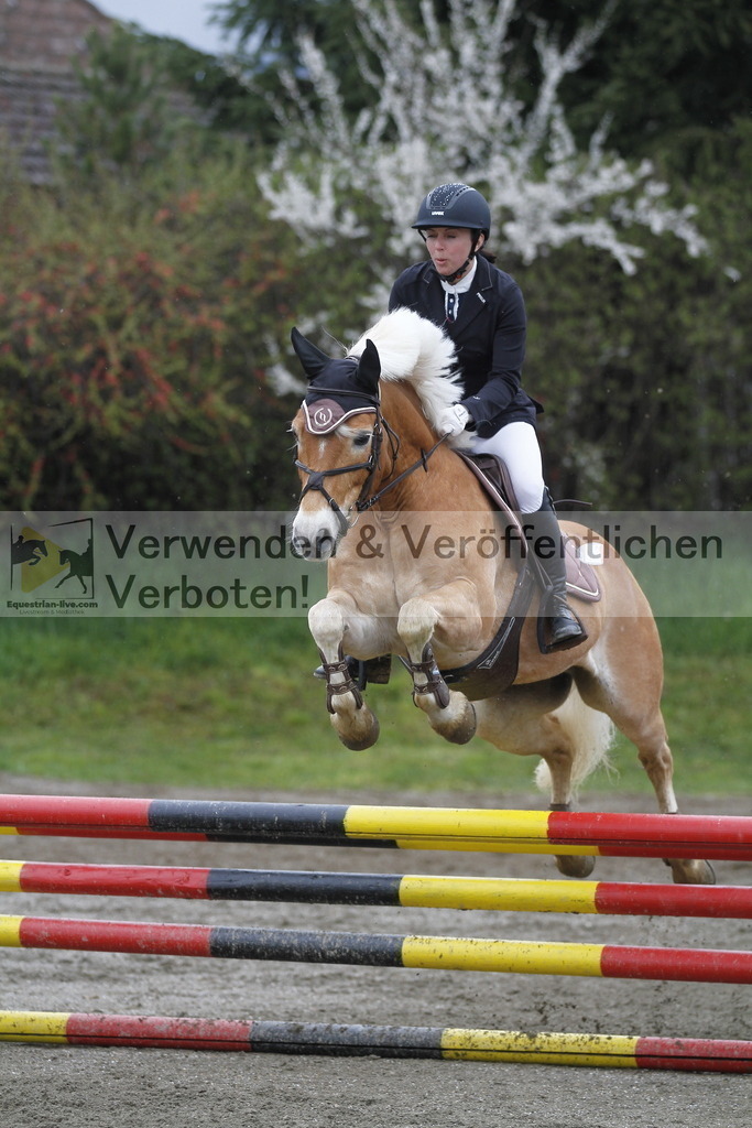 _MG_3531 | equestrian-live-com