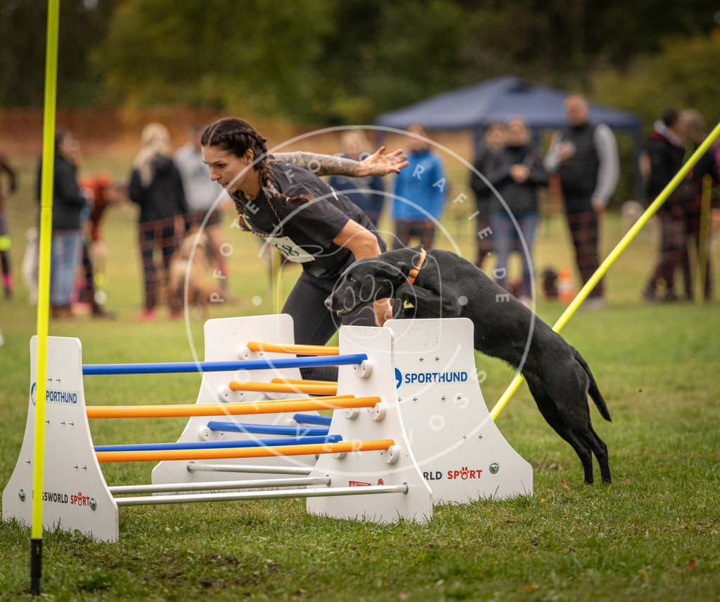 Pfotenfotografie_DV3A7595 | Hundefotografie, Tierfotograf, Pfotenfotografie, Fotoshooting Hund, Hunde Portrait, Hundesport, Hundeportraits, Heideshooting, Hunde, Sportfotograf, Hundefotograf, Turnierhundsport, THS,  - Realisiert mit Pictrs.com