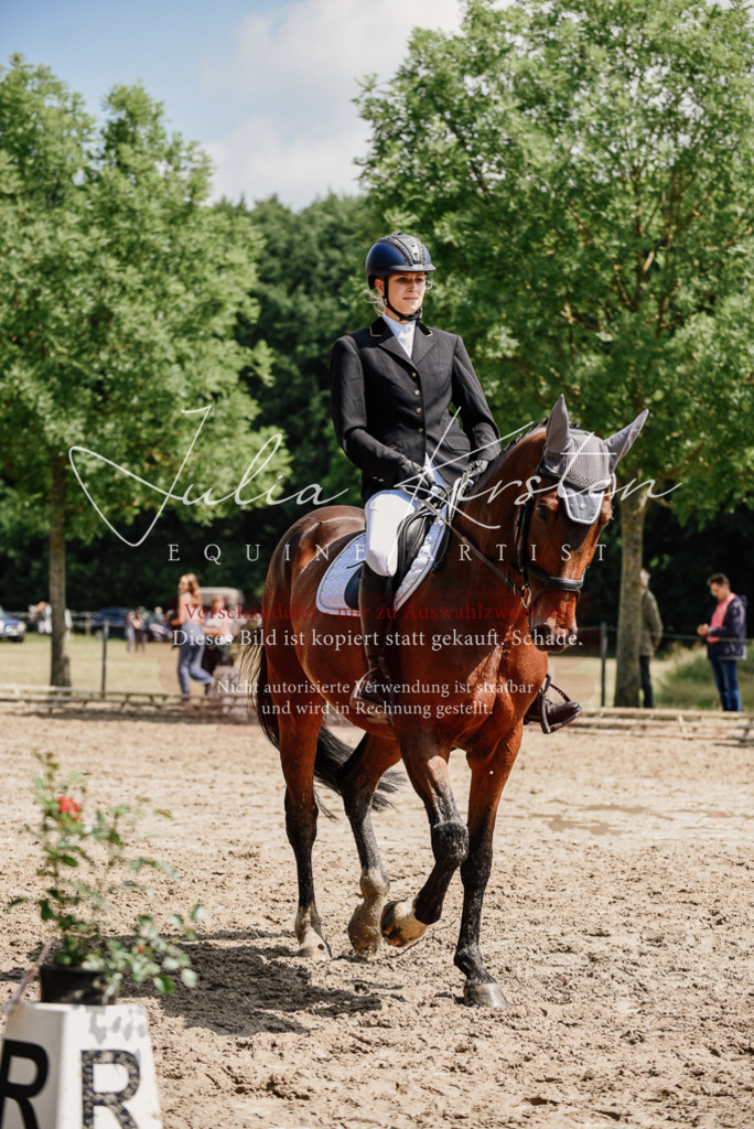 DSC_1140 | Pferde- und Turnierfotografie in Westsachsen. Pferdeportraits, Auftragszeichnungen und intuitive Kunst.