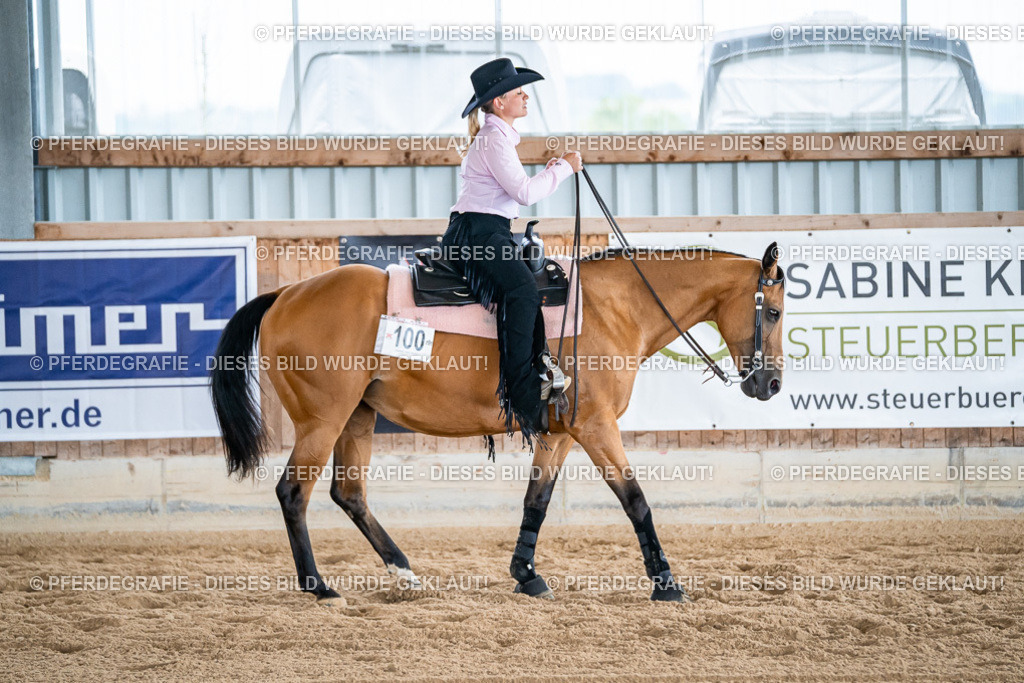 DSC09138 | Pferdegrafie