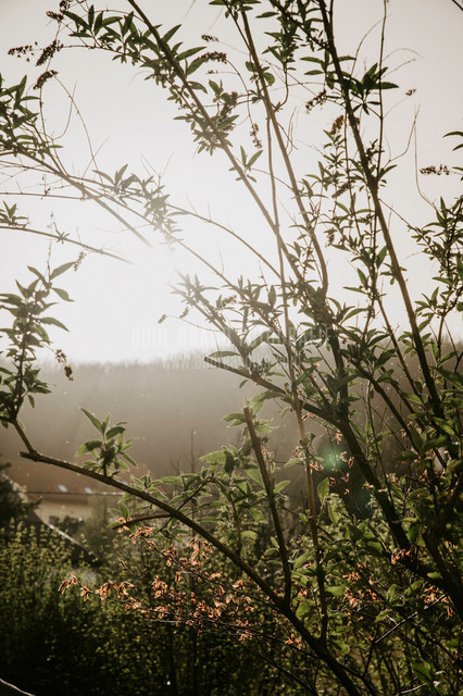 DSC_8424 | andreasojkafotografie - Realisiert mit Pictrs.com