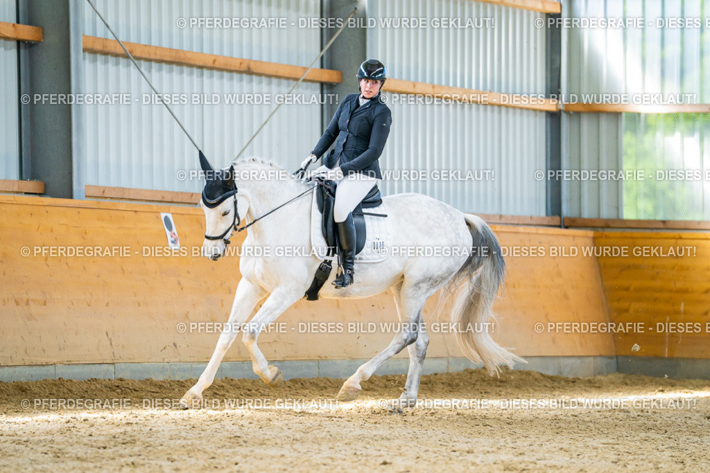 DSC07861 | Pferdegrafie