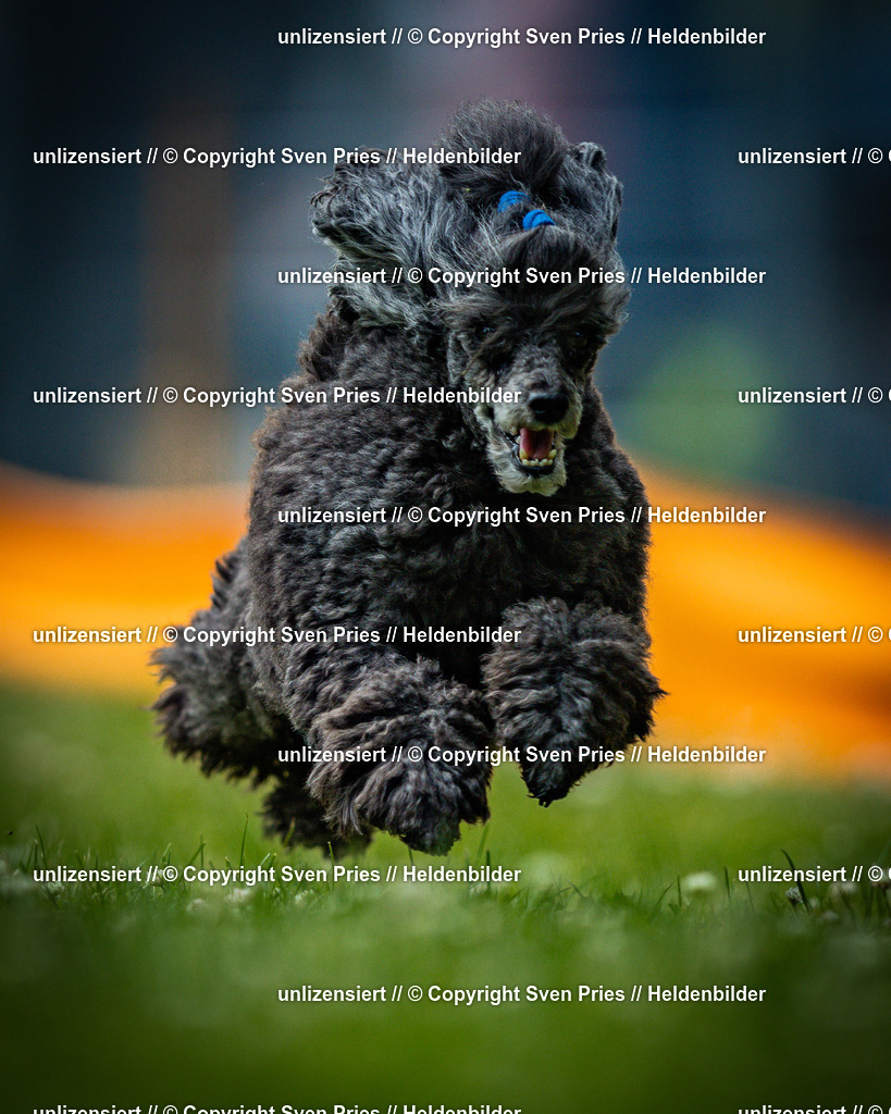 Sven Pries | 2025-05-29 - Pudelrennen KA-Durlach - Realisiert mit Pictrs.com