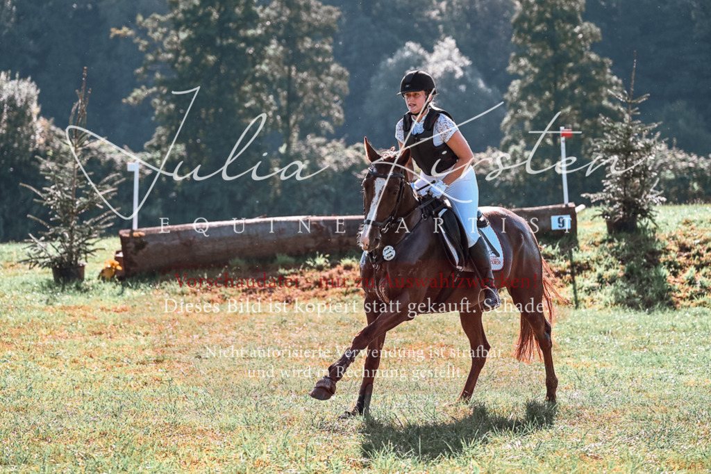 DSC_0753 | Pferde- und Turnierfotografie in Westsachsen. Pferdeportraits, Auftragszeichnungen und intuitive Kunst.