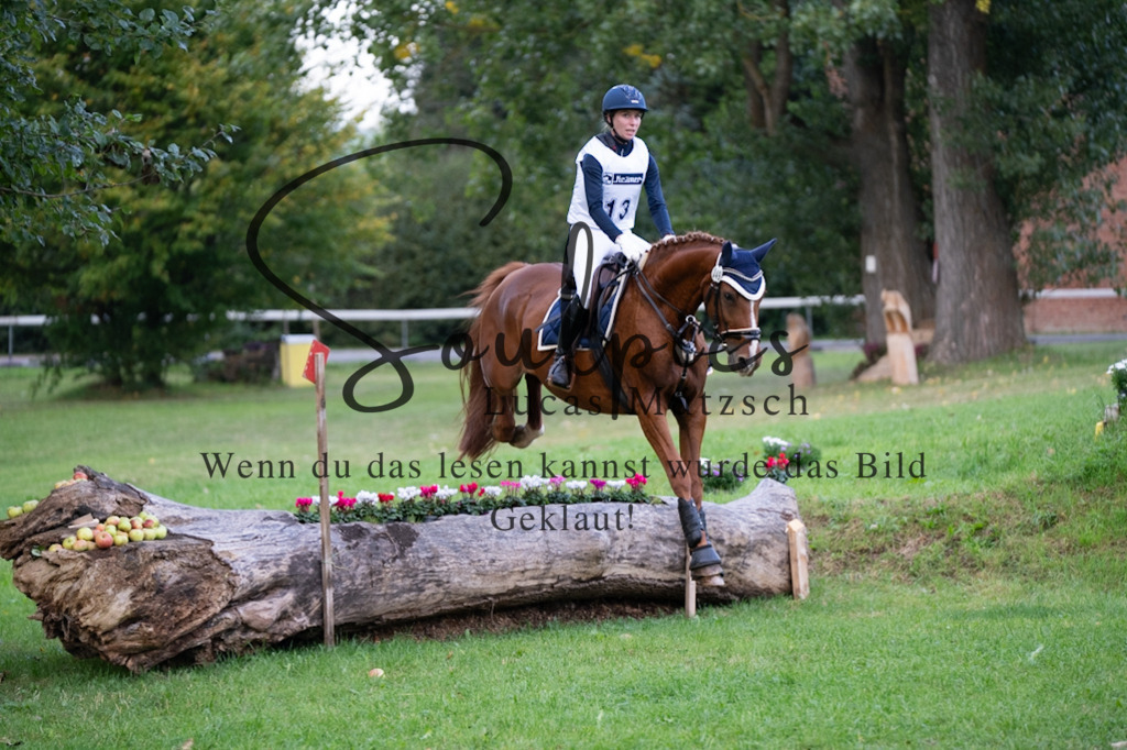 A7V02973 | Turnier/Reitfotograf