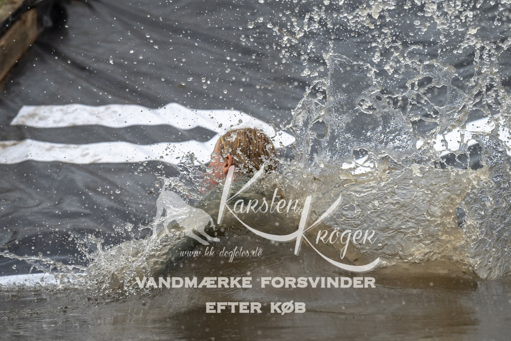 1347_ZZ93331 | kk-dogfotos