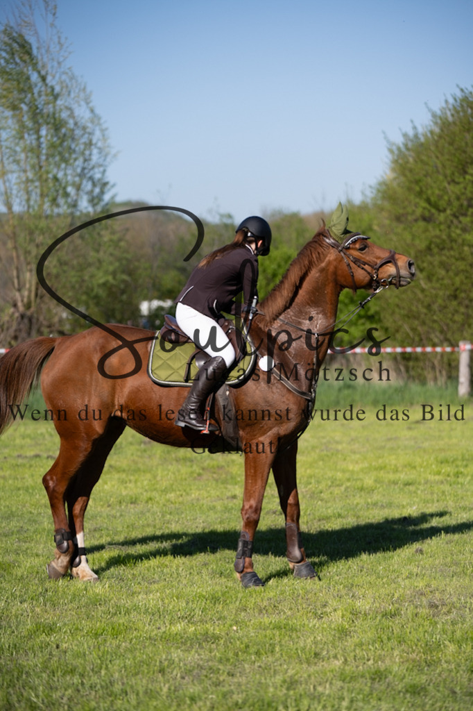 A7V01665 | Pferdefotograf