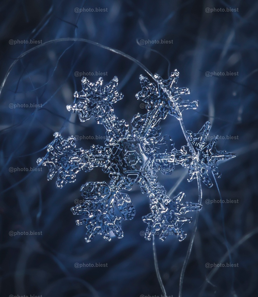 Schneeflocke #7 | Eine (von vielen) filigranen Schneeflocken in meinem ersten Makro-Schneeflocken-Winter. - Realisiert mit Pictrs.com