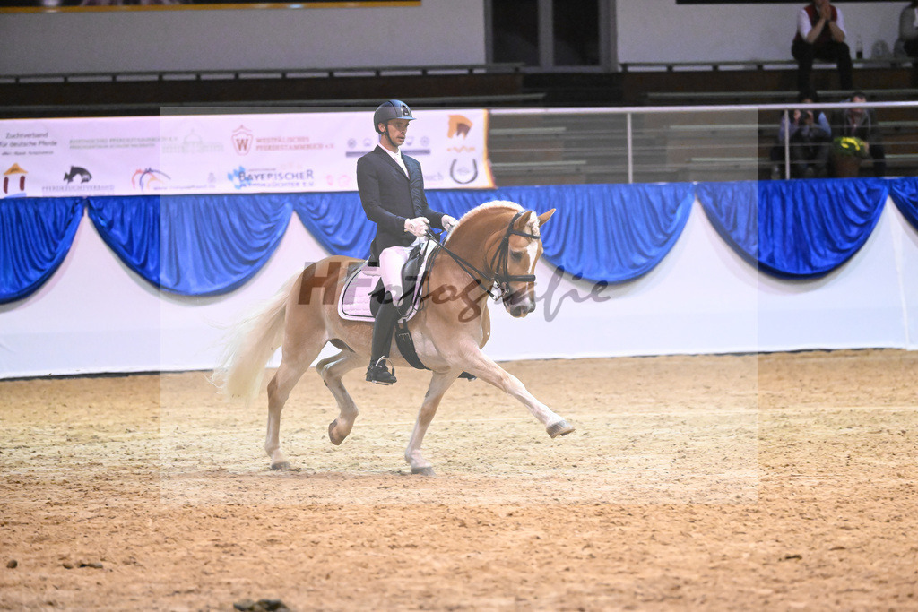 Schauprogramm_54222599 | hf-fotografie - Realisiert mit Pictrs.com
