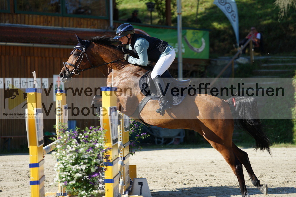 DSC02238 | equestrian-live-com