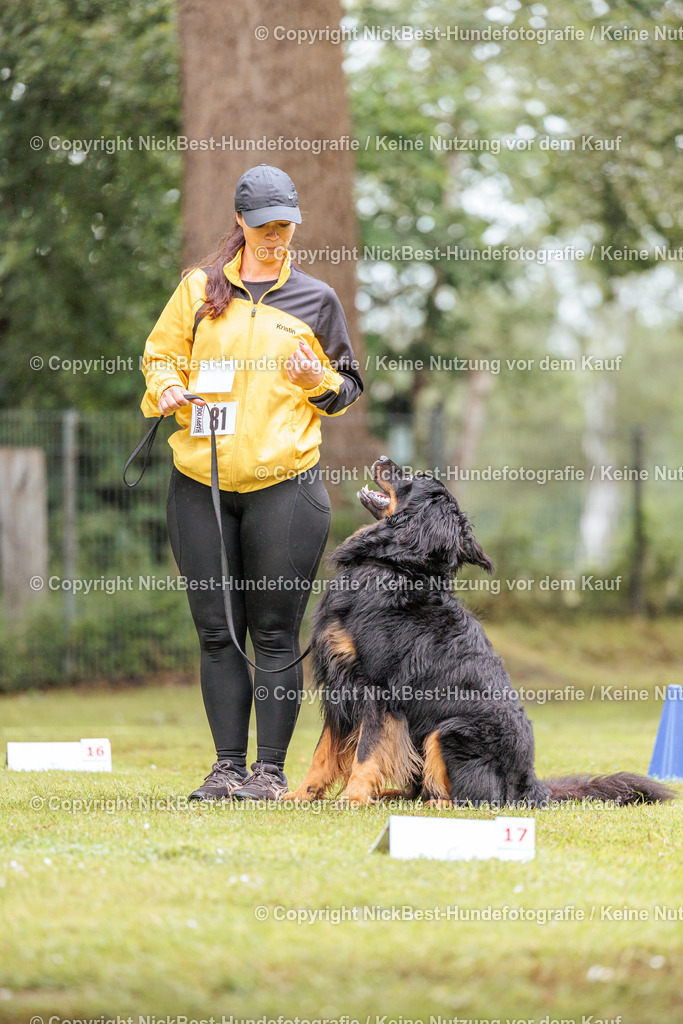 RO-Blumenthal-2026-Nickbest-Hundefotografie-4140 | Dein Hund! Dein Moment! Deine Erinnerungen! Hundefotografie in Bremen Blumenthal. Ich fange die besonderen Momente deines Vierbeiners ein – ob Indoor mit Blitzanlage oder in der freien Natur. Sicher dir dein Moment und dein Termin für eure Erinnerungen.