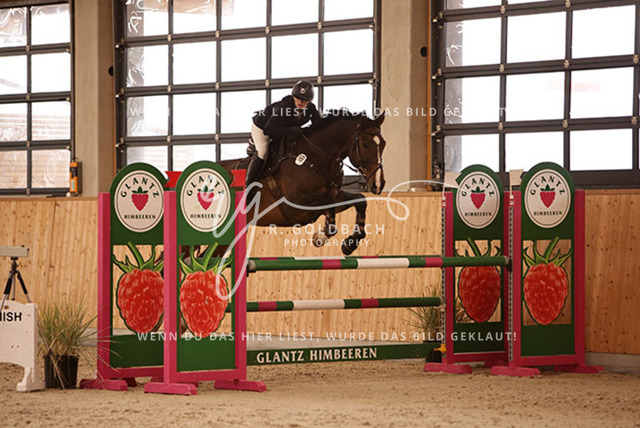 1J2A4545Louisa Schneider_ Viva Willy_ Kn493_ Hohen Wieschendorf_ Glantz | Foto- und Videografie für alles rund ums Pferd. Hochwertige Bilder und Videos vom Spring- und Dressurreiten, Voltigieren & mehr. Jetzt aktuelle Veranstaltungen und Preise im Shop ansehen. - Realisiert mit Pictrs.com