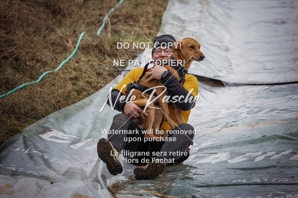 042 | nelerasche