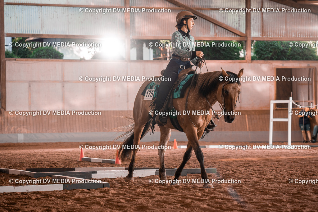 NE300068 | dv-media-shop - Realisiert mit Pictrs.com